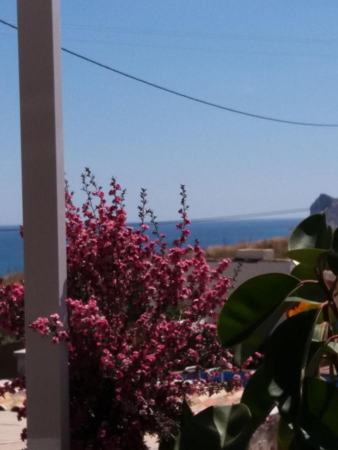 Apartament Casa Fleur Casco Antiguo Altea Con Piscina Privada Y Jardin Zewnętrze zdjęcie